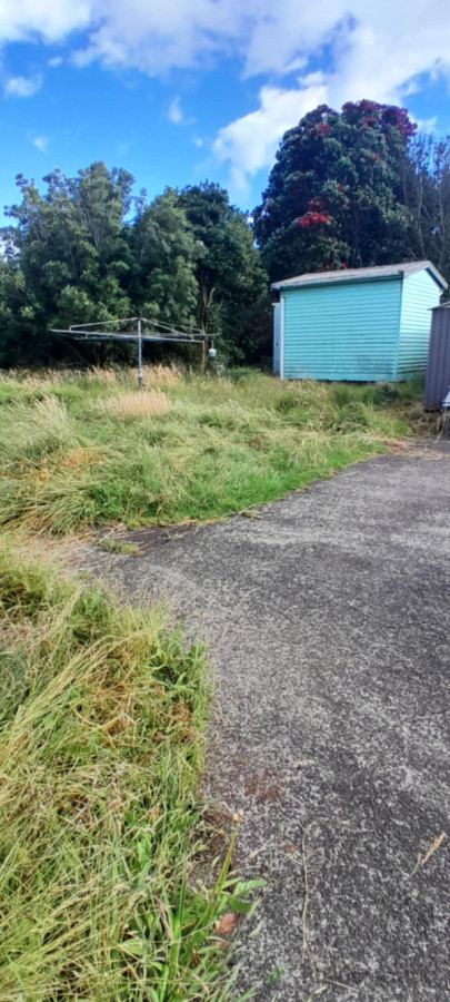 over grown lawn 1# - Before