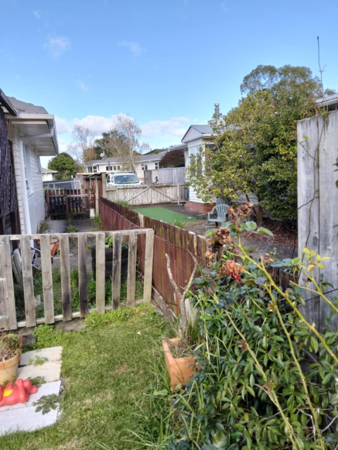 Fencing (Before)
