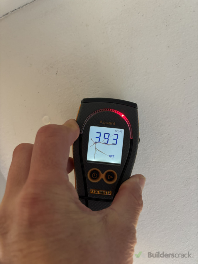 Roof leak detection with moisture meter