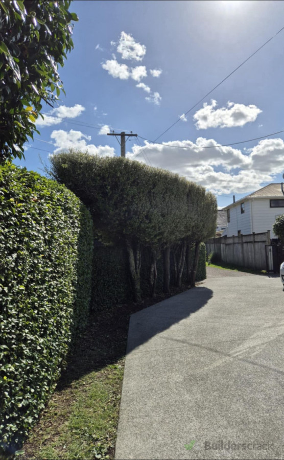 Fresh, neat, and ready to impress ✨🌿