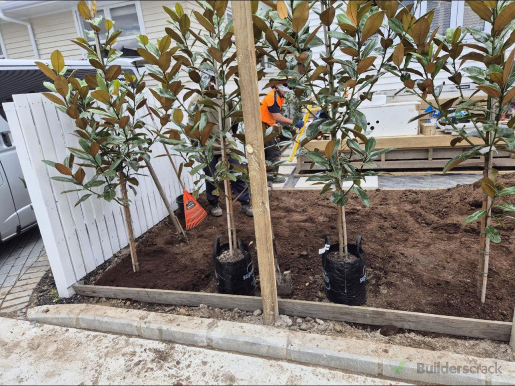 Pathways & planting 🌿✨