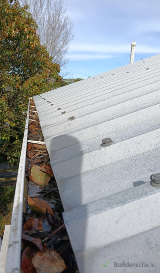 Gutters cleaning before