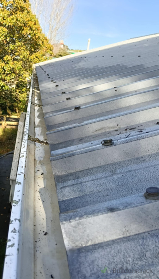 Gutters cleaning after