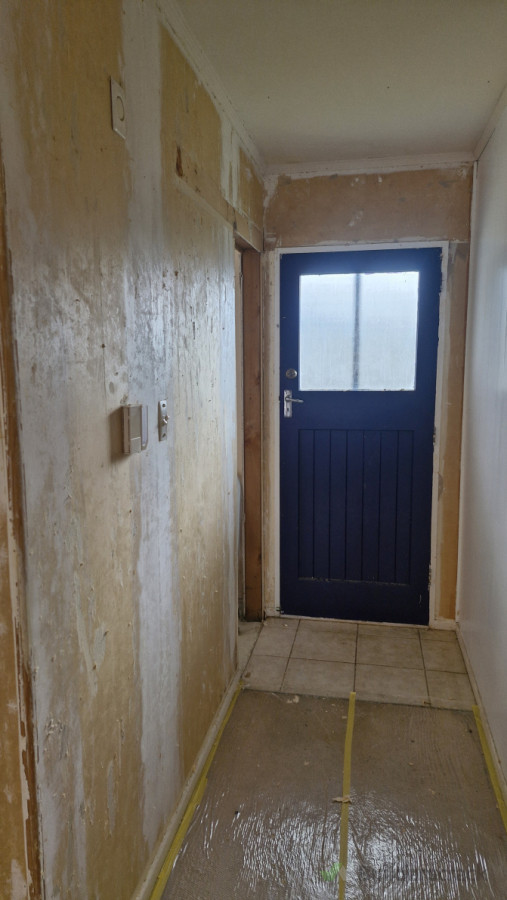 Removal of the wallpaper exposed the old gib beneath