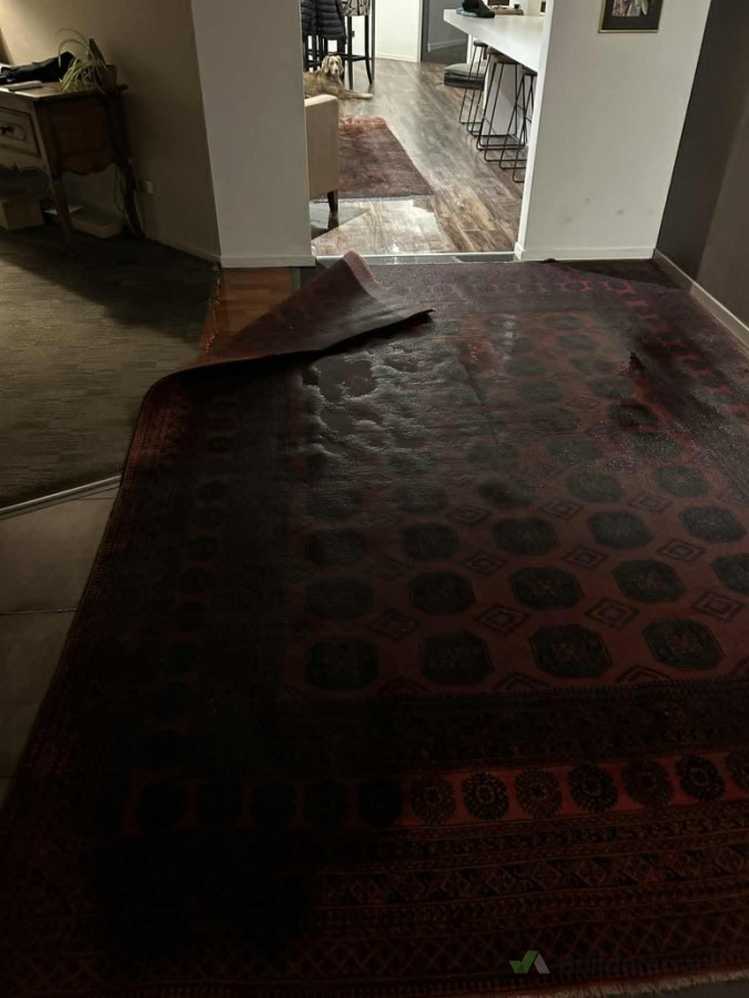 "Act fast against flood damage! Flawless Carpet Cleaning specializes in flood restoration, starting with water extraction and deep cleaning using Kirby’s Very Low Moisture (VLM) technology. We also offer minor repairs like skirting and gib replacement.