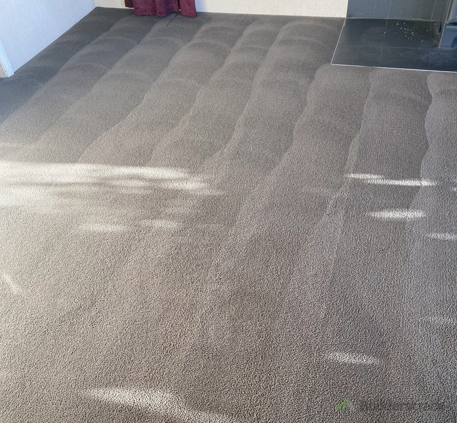"Experience the Flawless Carpet Cleaning difference! Freshly cleaned carpets with our Kirby deep cleaning and Very Low Moisture (VLM) technology—delivering an eco-friendly, fast-drying result.