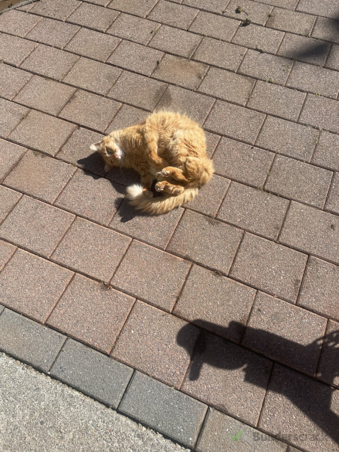Nothing like a freshly clean driveway
