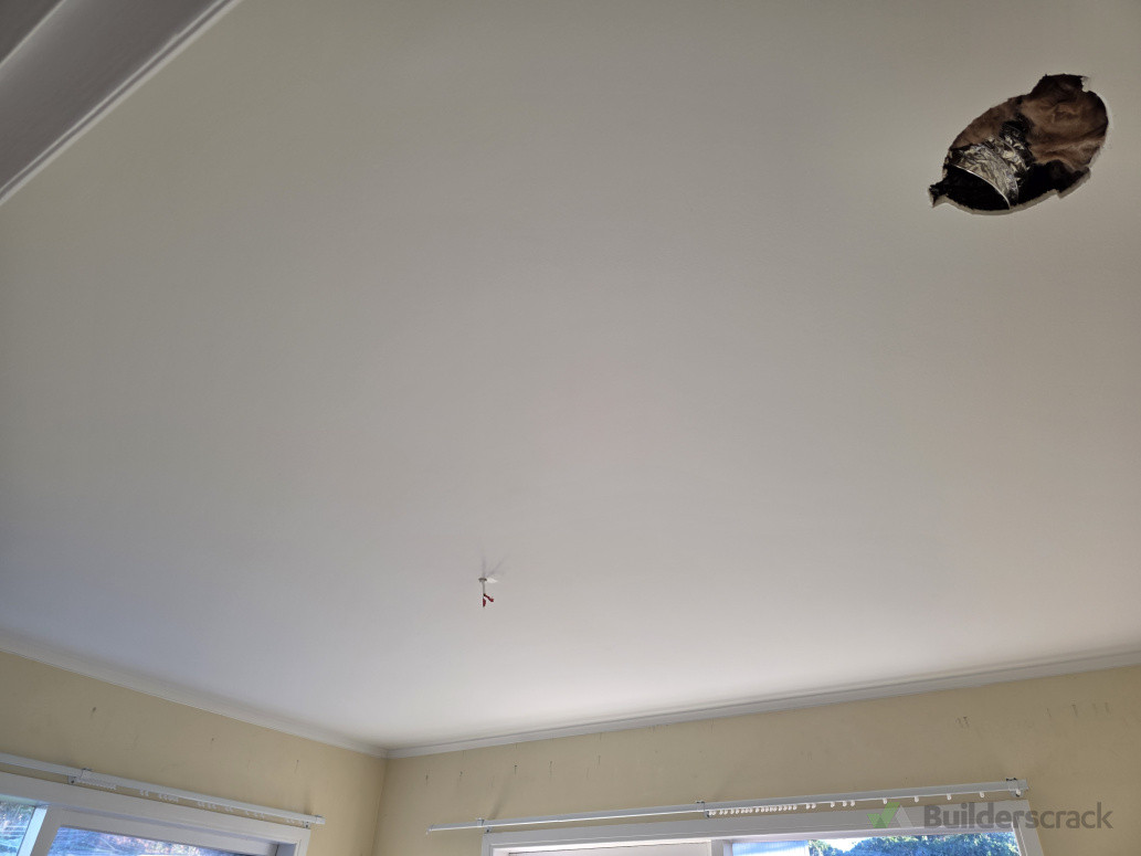 Painted after plaster