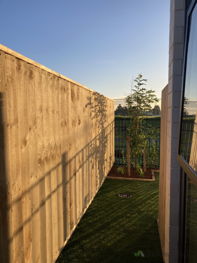 Boundary timber fence at sunrise with an aluminium pool fence backing onto a park