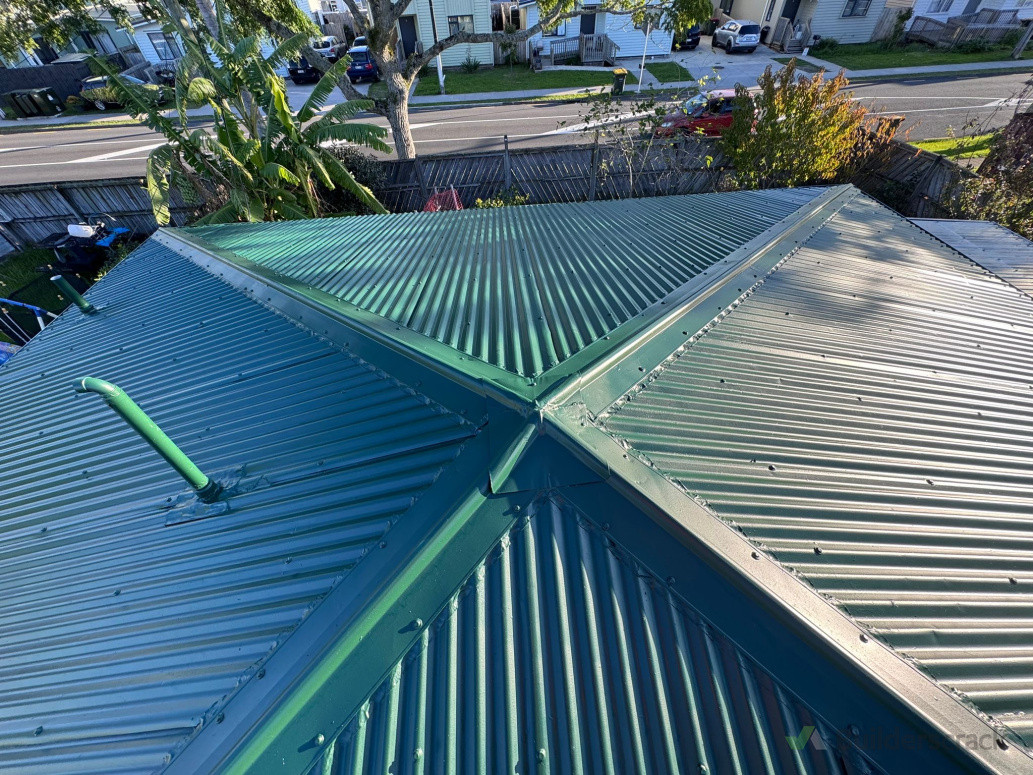 Whole roof painted