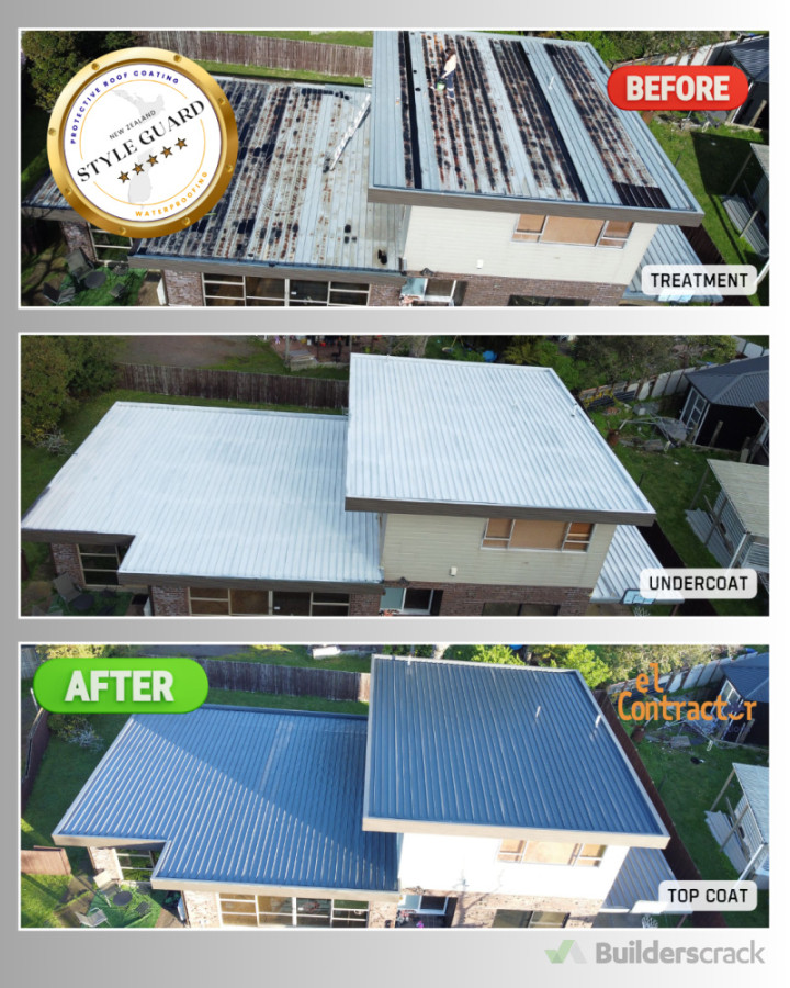 Treatments: washing, moss & lichen removal, anti rust, leak prevention, and painting for all roof types.