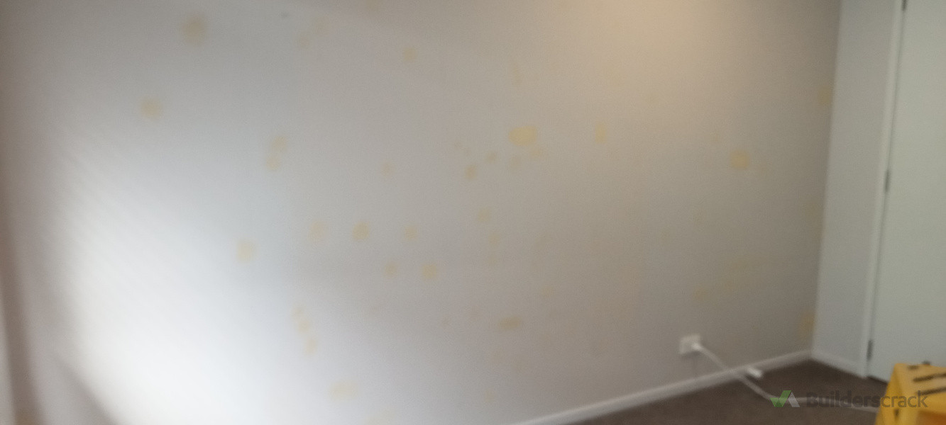 Plain wall after removal of wallpaper
