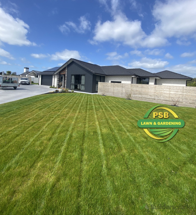 A neat striped cut that gives the lawn a polished look