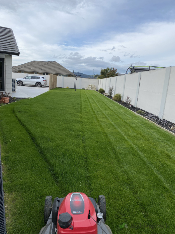 Striped mowing done to give the lawn a sharp and professional finish