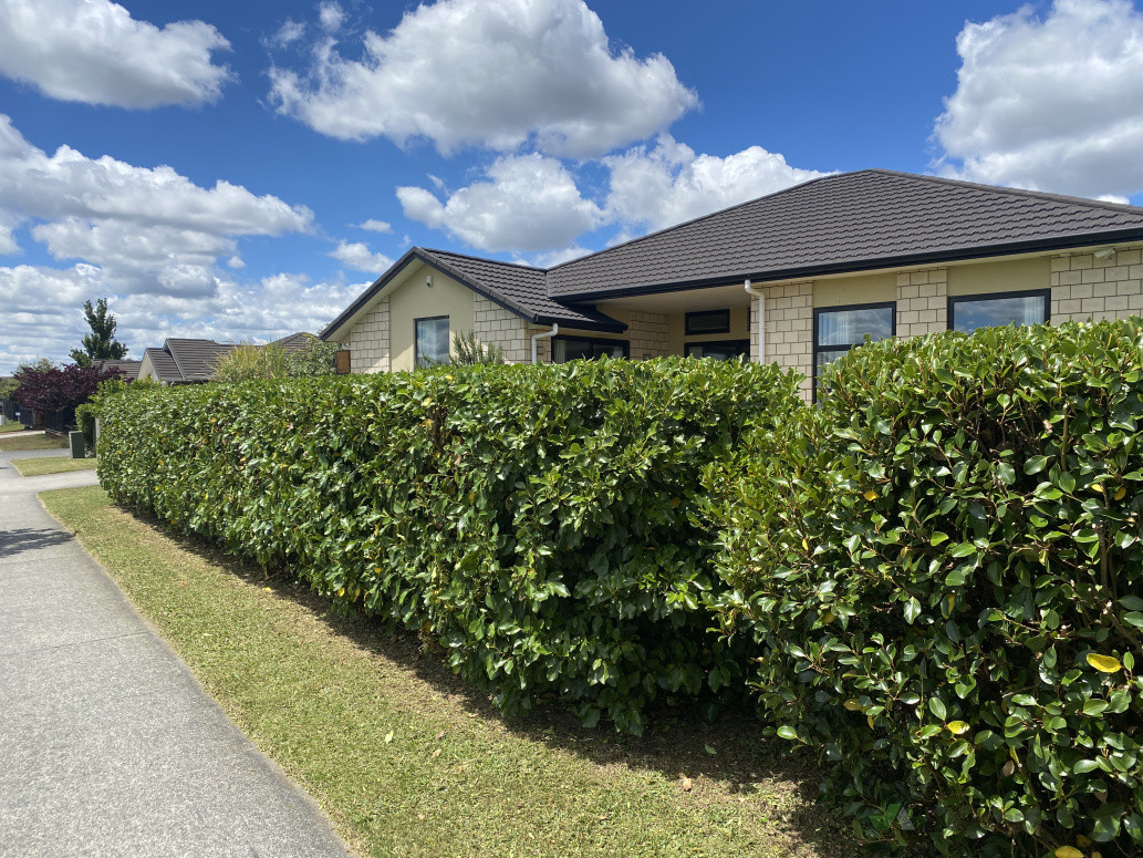 Well-cut hedges giving the garden a crisp, cared-for finish