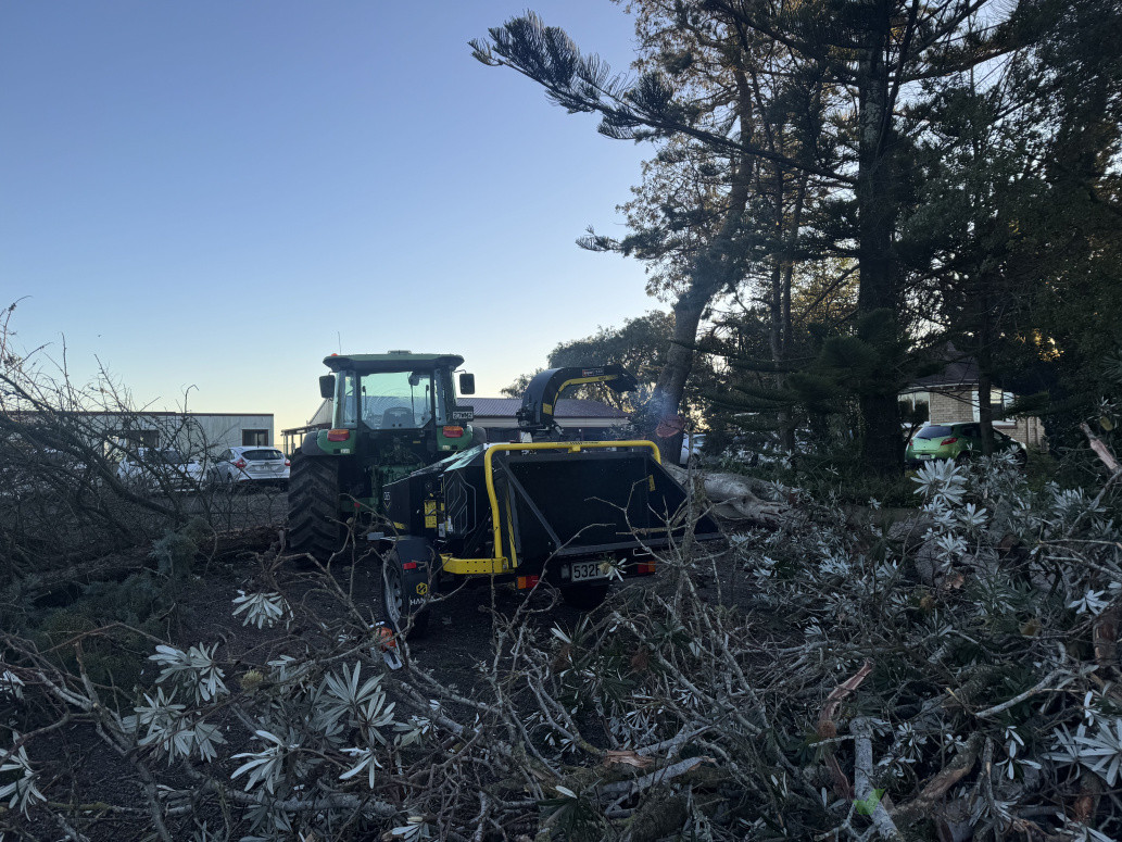 Start of fallen tree job