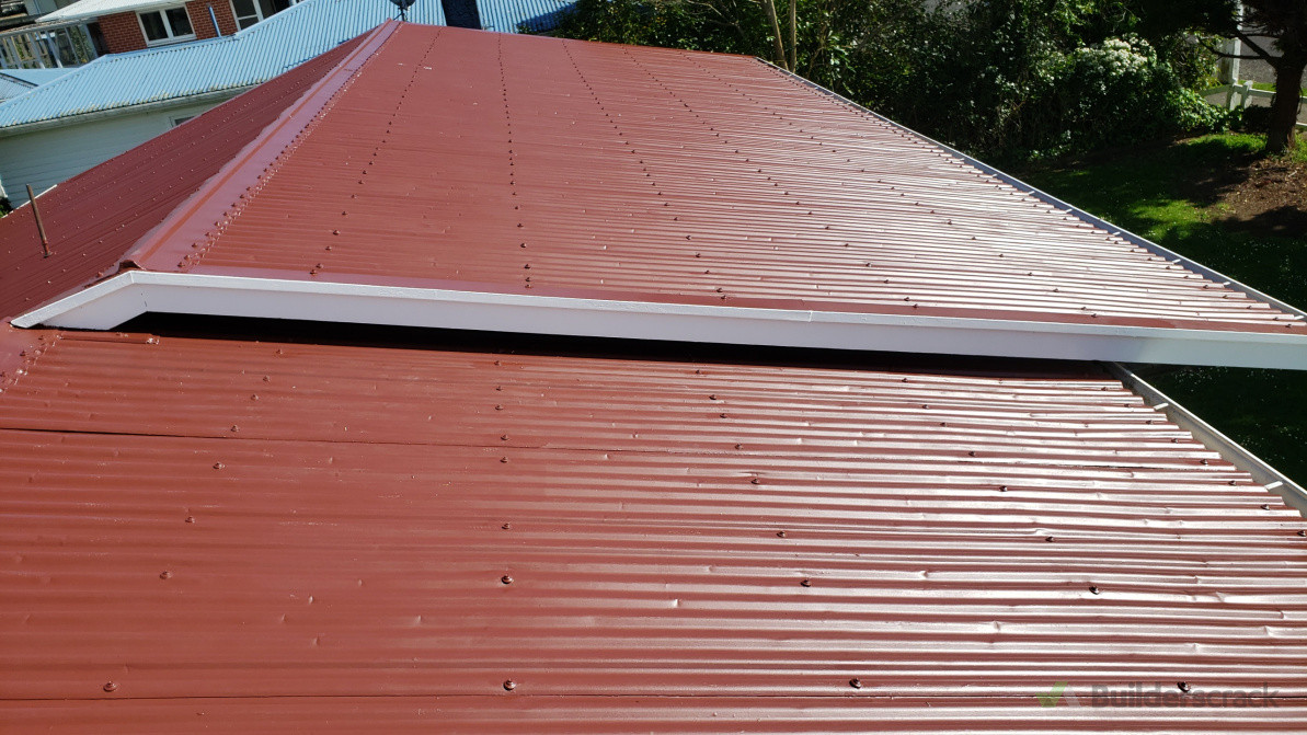 Roofing painting and repairs