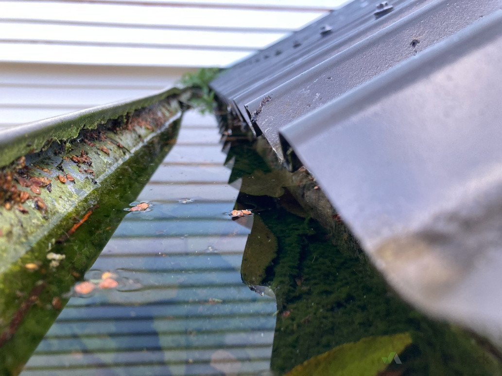 Debris Removed