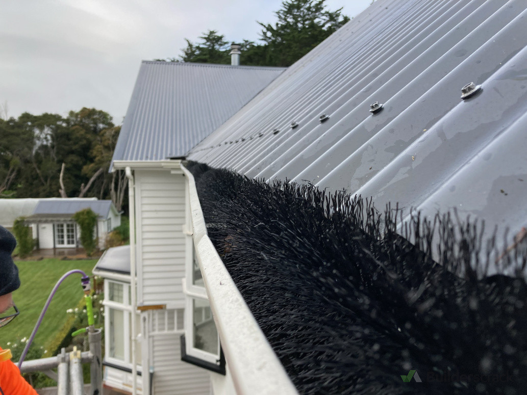 Gutter Whisker Protection