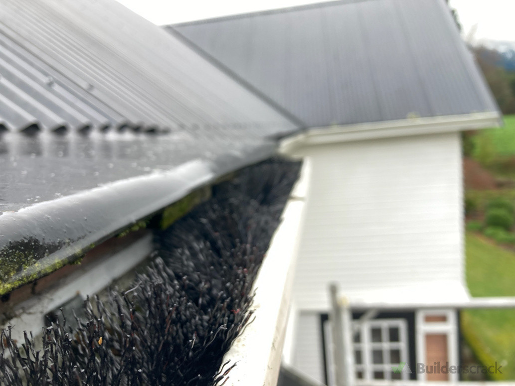 More Gutter Whisker Protection