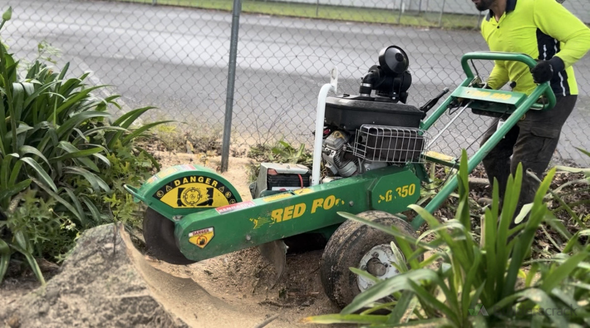 Paknsave Clarence St grounds upgraded with expert stump removal