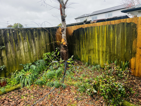 Old pic with dirty fence