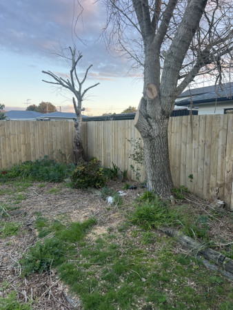 After wash look new and clean