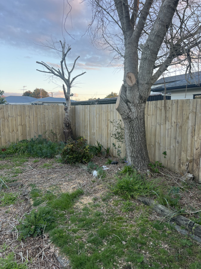 After wash look new and clean