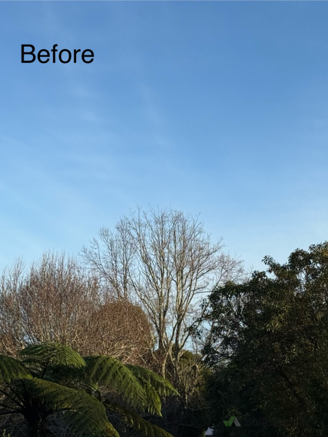 Tree reduction before