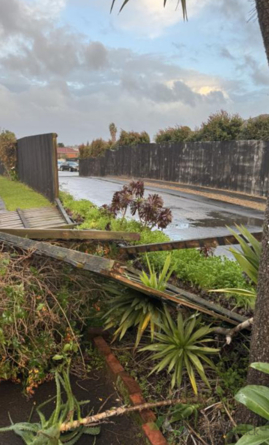 Fallen fence