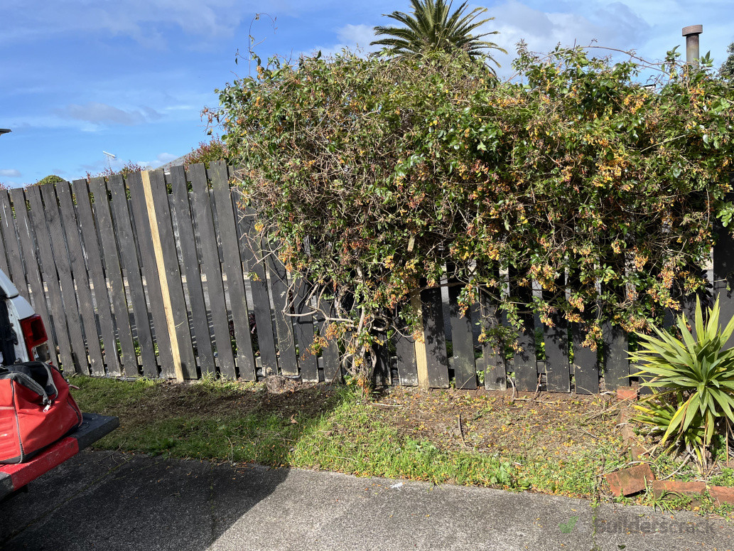 Reinstated fallen fence client just wanted same panels