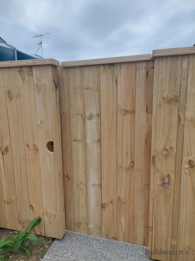 Fencing and locking pedestrian gate.