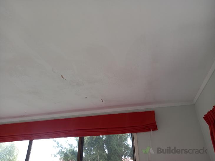 Ceiling repair, plaster and paint ceiling and walls - room approx 4.5m ...