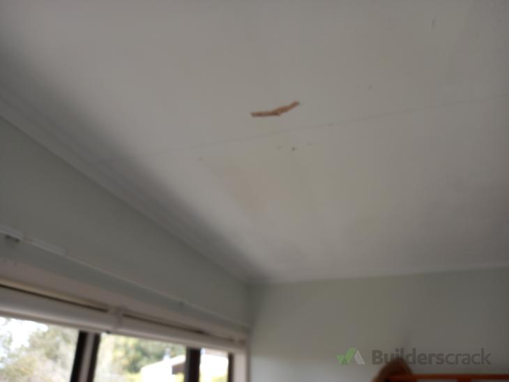 Ceiling repair, plaster and paint ceiling and walls - room approx 4.5m ...