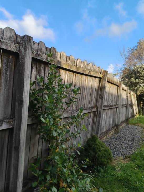 Fence replacement (#1158687) | Builderscrack