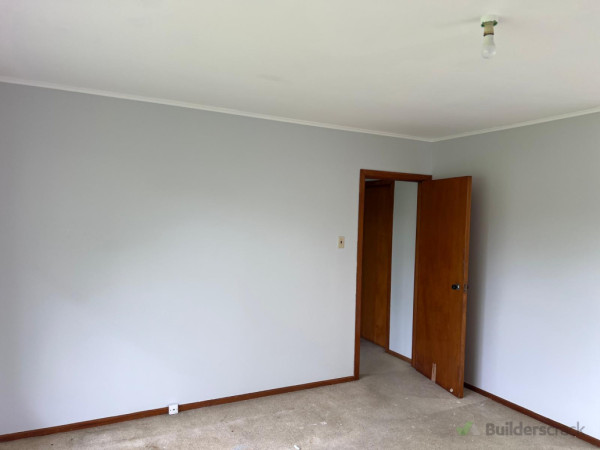 Paint whole house with walls, ceiling, and windows