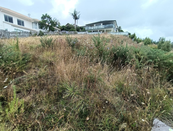 Before: thick gorse and long grasses