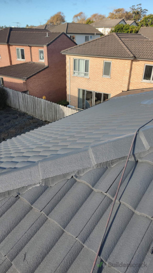 View from the Newly Painted Roof 11