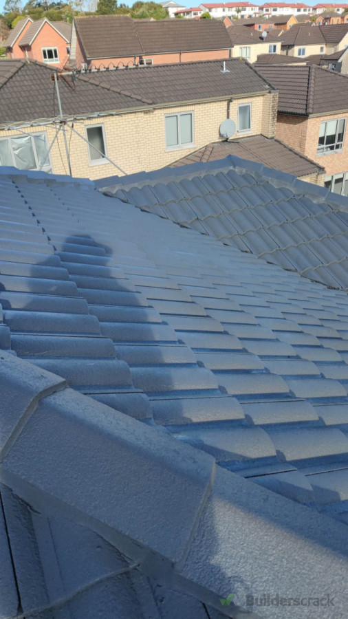 View from the Newly Painted Roof 22