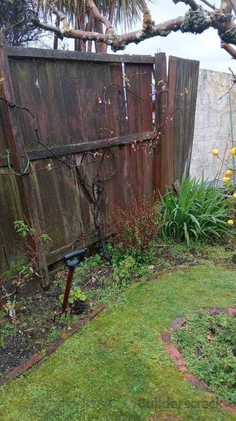 Fence replacement (#1161285) | Builderscrack