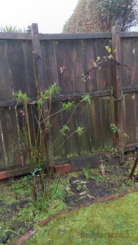 Fence replacement (#1161285) | Builderscrack