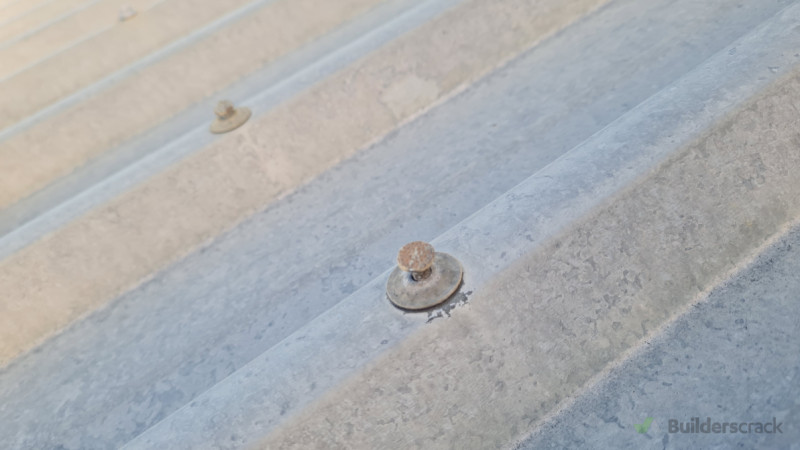 “Customer’s roof showing lifted lead nails causing leaks – we replaced them with storm washer screws for a secure, watertight finish