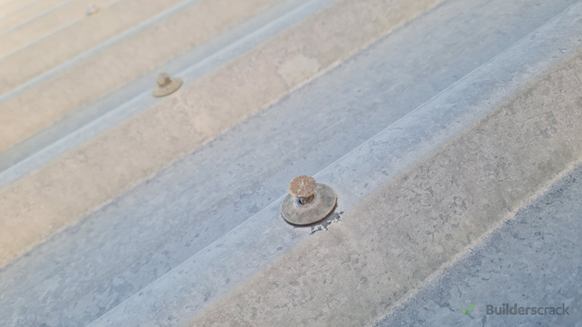 “Customer’s roof showing lifted lead nails causing leaks – we replaced them with storm washer screws for a secure, watertight finish