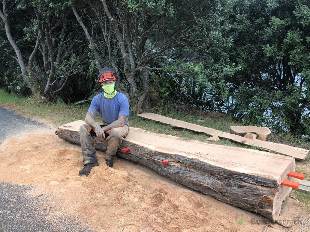 Milling macrocarpa log. Great Barrier Island