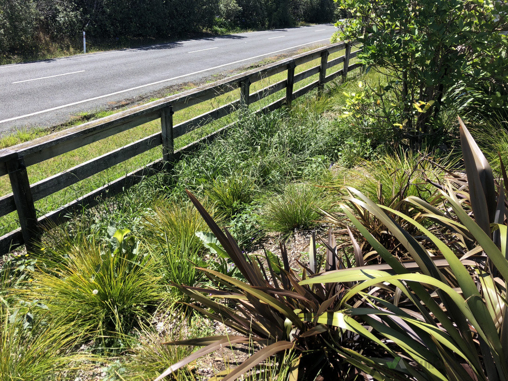 Clients garden in Muriwai.
