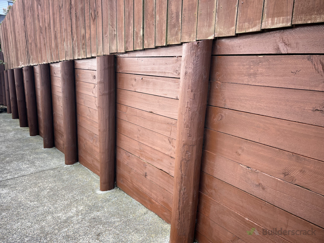 Stained the fence