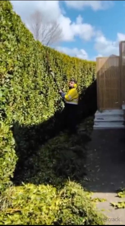 Hedge trimming