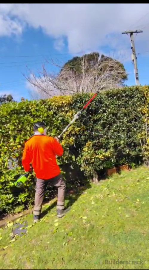 Hedges trimming