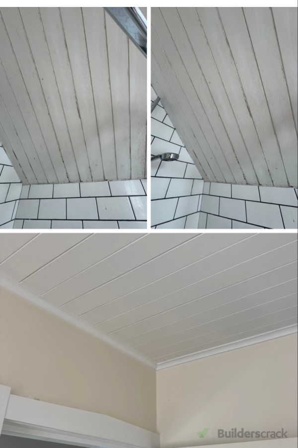 Restored and repainted a moisture-damage bathroom ceiling