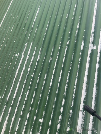 Roof after water blasting